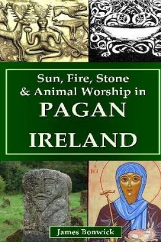 Cover of Sun, Fire, Stone & Animal Worship In Pagan Ireland