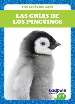 Cover of Las Crias de Los Pinguinos (Penguin Chicks)