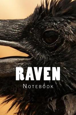 Book cover for Raven