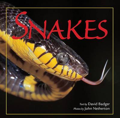 Cover of Snakes