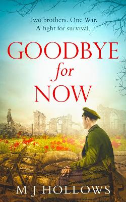 Book cover for Goodbye for Now