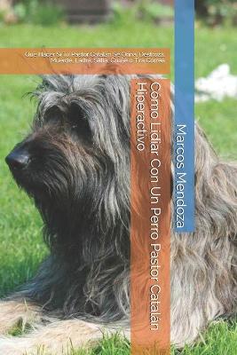 Book cover for Como Lidiar Con Un Perro Pastor Catalan Hiperactivo