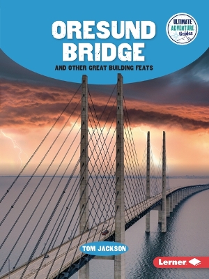 Book cover for Oresund Bridge and Other Great Building Feats