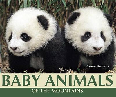 Book cover for Baby Animals of the Mountains