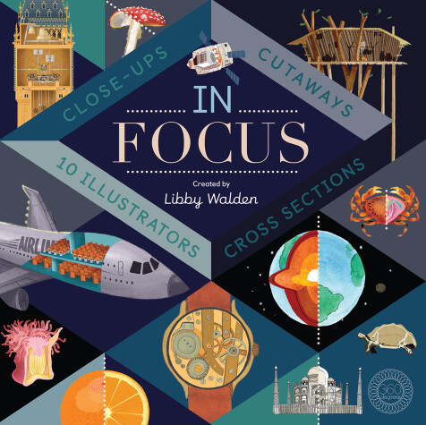 Cover of In Focus