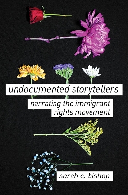 Book cover for Undocumented Storytellers