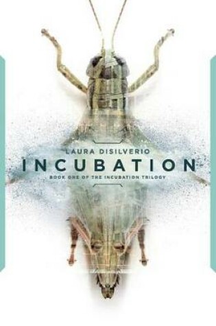 Cover of Incubation