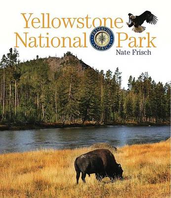 Book cover for Yellowstone National Park