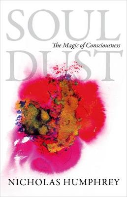 Book cover for Soul Dust