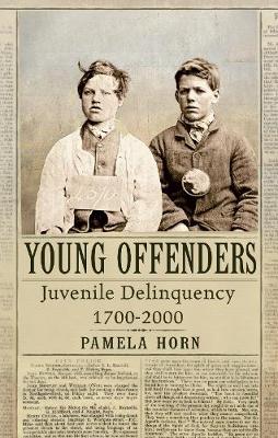 Book cover for Young Offenders