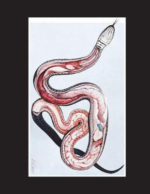 Book cover for Anatomy of a Female Grass Snake Notebook