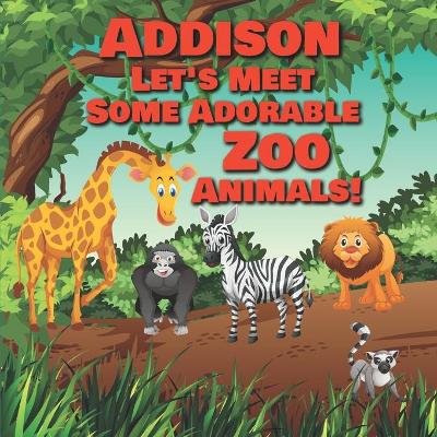 Cover of Addison Let's Meet Some Adorable Zoo Animals!