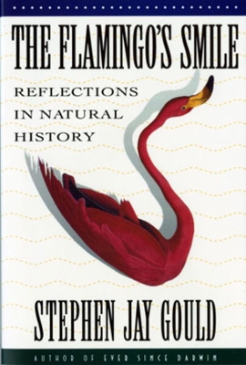 Book cover for The Flamingo's Smile