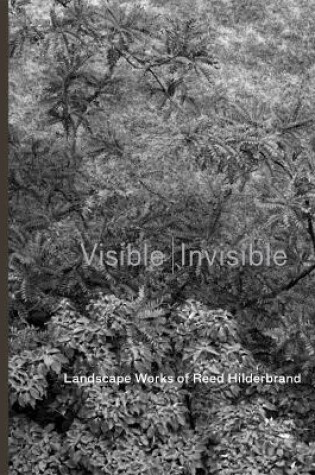 Cover of Visible - Invisible