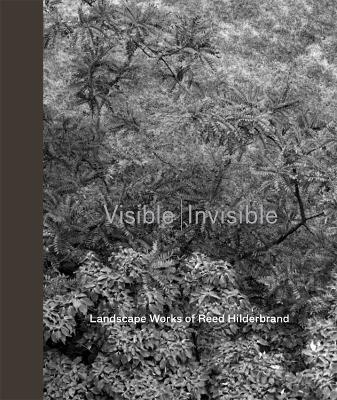 Book cover for Visible - Invisible