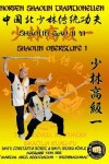 Book cover for Shaolin Oberstufe 1