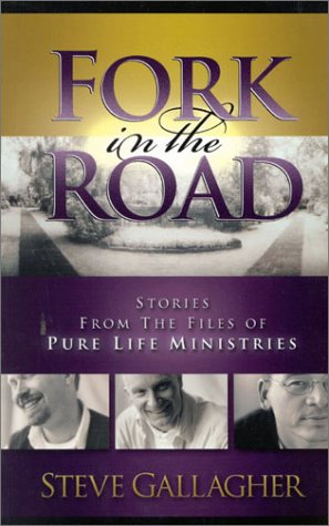 Book cover for Fork in the Road