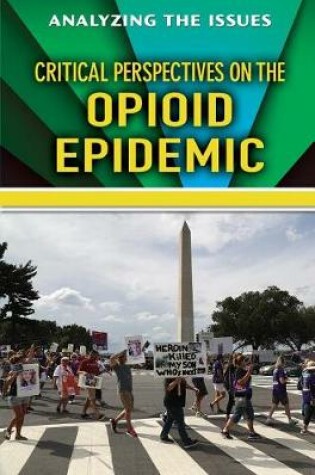 Cover of Critical Perspectives on the Opioid Epidemic
