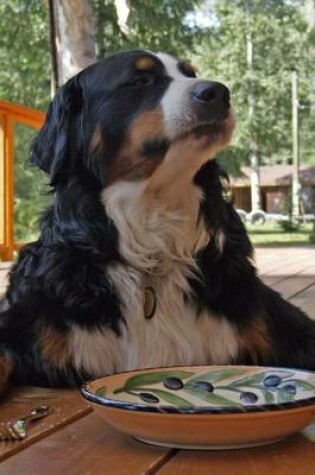 Cover of Bernese Mountain Dog Pleading for More Food