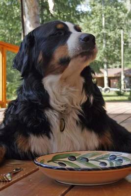 Book cover for Bernese Mountain Dog Pleading for More Food