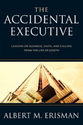 Cover of The Accidental Executive