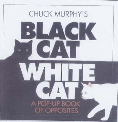 Book cover for Black Cat, White Cat