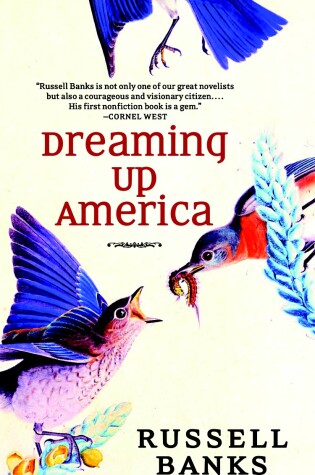 Cover of Dreaming Up America