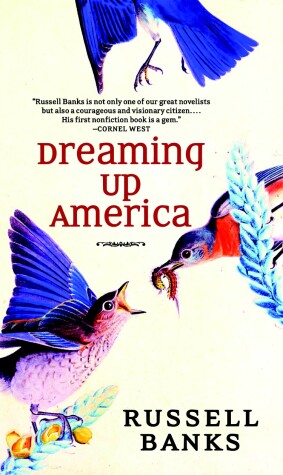 Book cover for Dreaming Up America