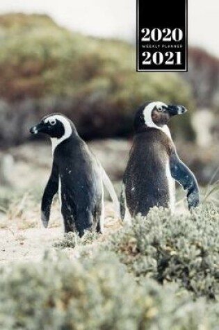 Cover of Penguin Puffin Antarctica Seabird Week Planner Weekly Organizer Calendar 2020 / 2021 - Side by Side
