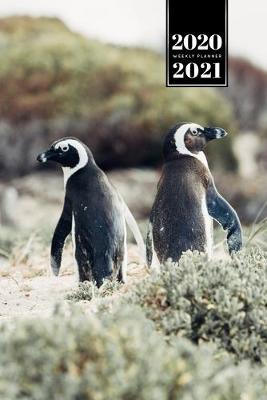 Book cover for Penguin Puffin Antarctica Seabird Week Planner Weekly Organizer Calendar 2020 / 2021 - Side by Side