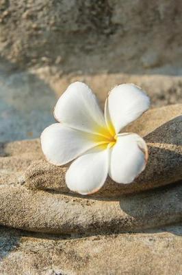 Cover of Budhha Palm Flower Notebook