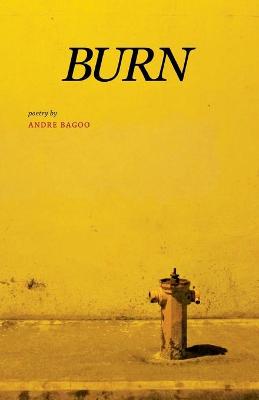 Cover of Burn