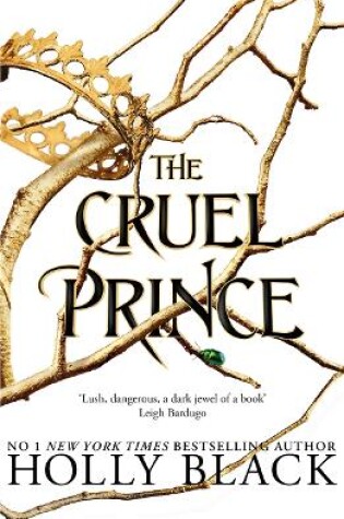 Cover of The Cruel Prince (The Folk of the Air)