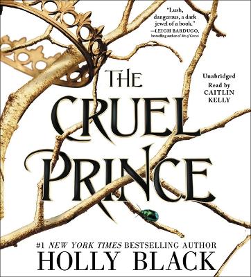 Book cover for The Cruel Prince