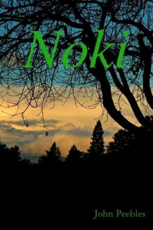 Cover of Noki