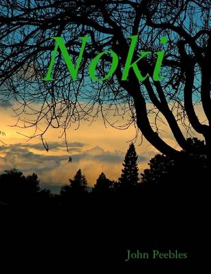 Book cover for Noki