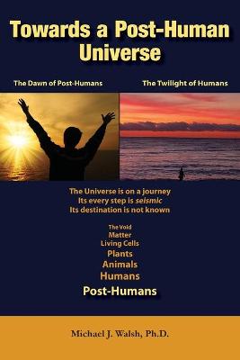 Book cover for Towards a Post-Human Universe