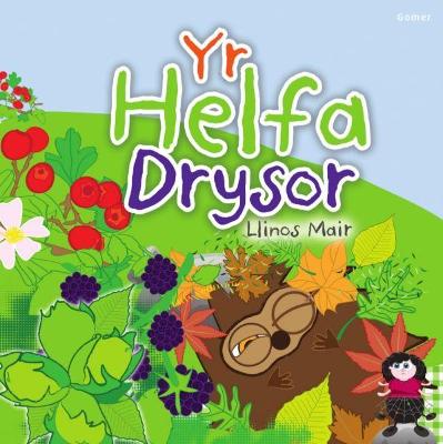 Book cover for Cyfres Wenfro: Yr Helfa Drysor