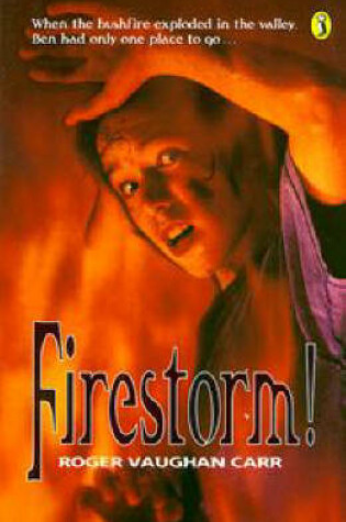 Cover of Firestorm!