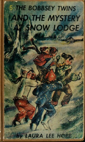 Book cover for Bobbsey Twins 00: At Snow Lodge