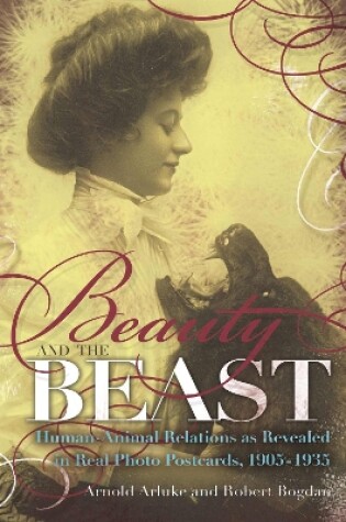 Cover of Beauty and the Beast