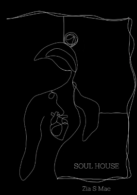 Cover of Soul House