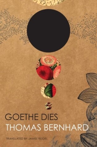 Cover of Goethe Dies