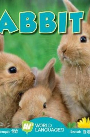 Cover of Rabbit