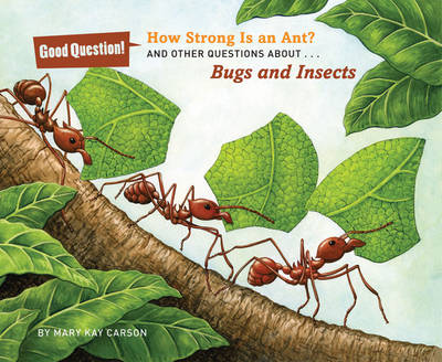 Book cover for How Strong Is an Ant?