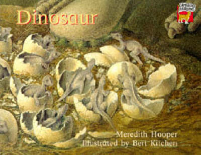 Book cover for Dinosaur Big book