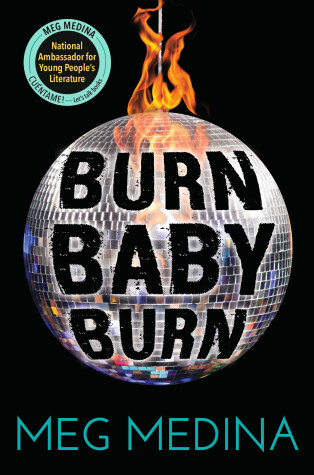 Book cover for Burn Baby Burn