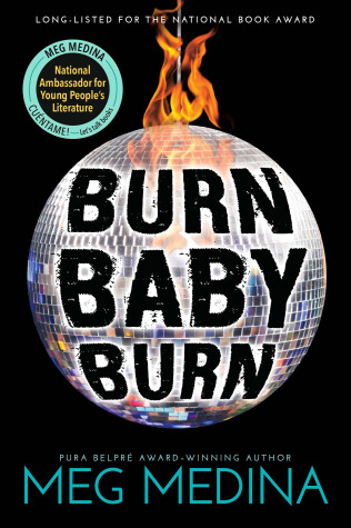 Book cover for Burn Baby Burn