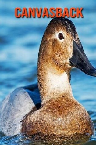 Cover of Canvasback