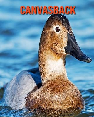 Book cover for Canvasback